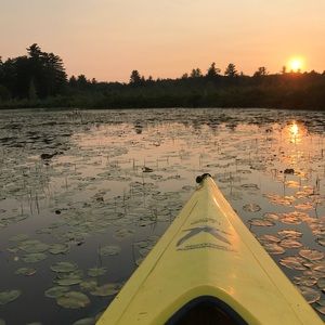 Meet your Posher, Molly